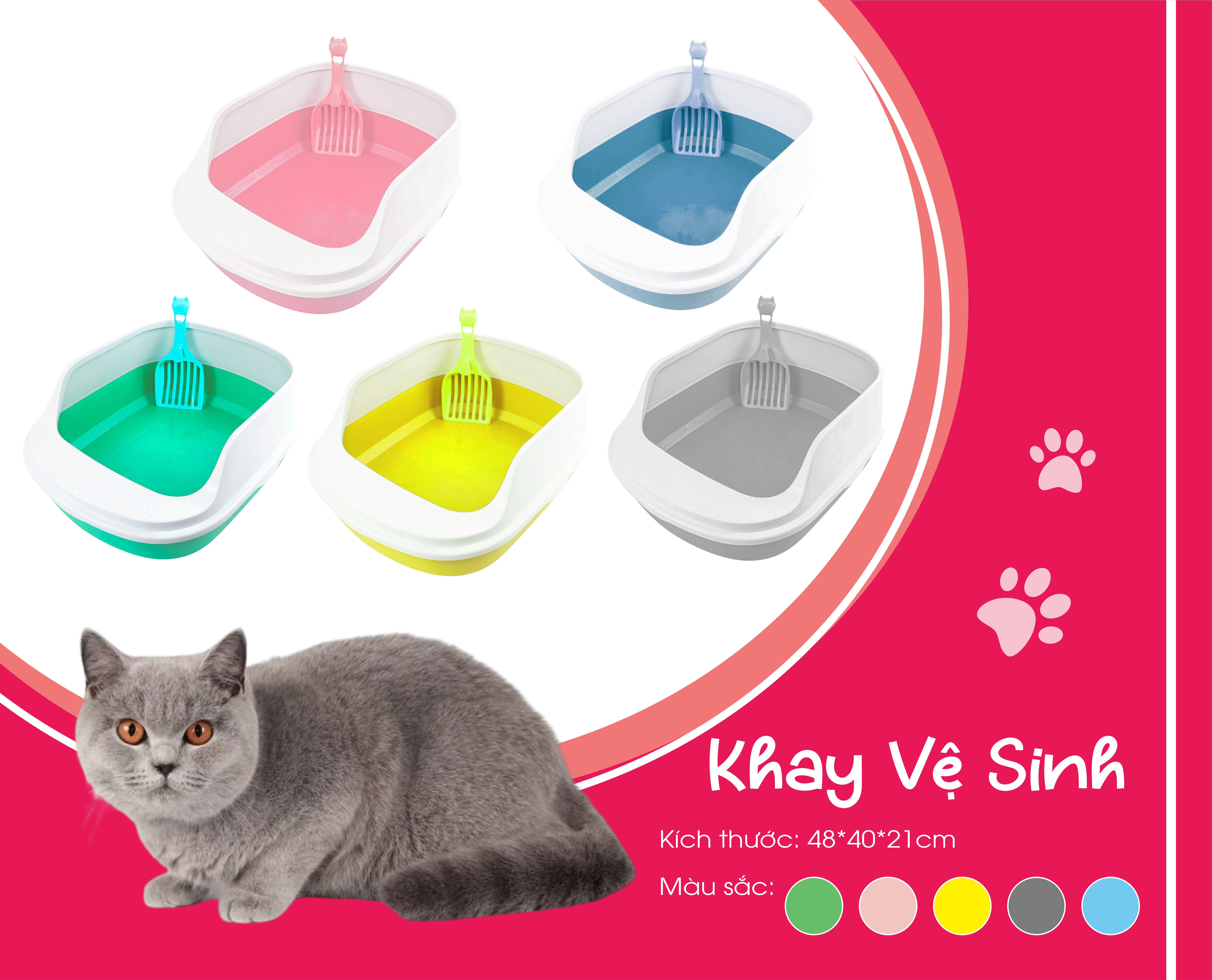 Khay vệ sinh mèo lớn-01 Khay Vệ Sinh Cho Mèo Lớn